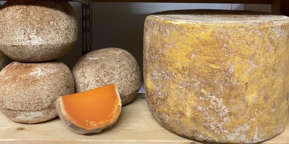 Cheese in Maturing Room 2