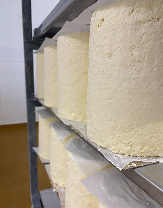 Cropwell Bishop Creamery Stilton