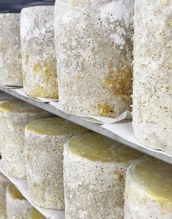 Cropwell Bishop Creamery Stilton