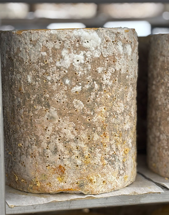 Cropwell Bishop Creamery Stilton