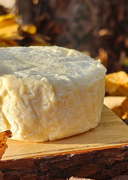 Lindley, Primrose Creamery