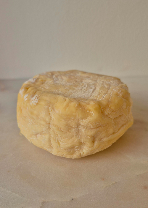 Lindley, Primrose Creamery