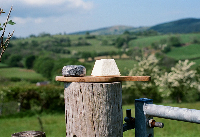 Norton & Yarrow (Angus D. Birditt)