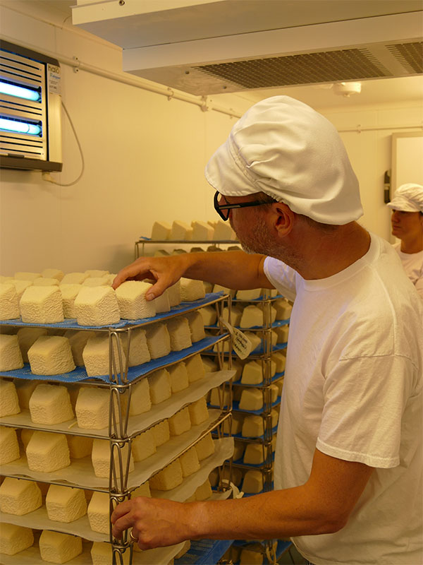 Norton & Yarrow (Angus D. Birditt)