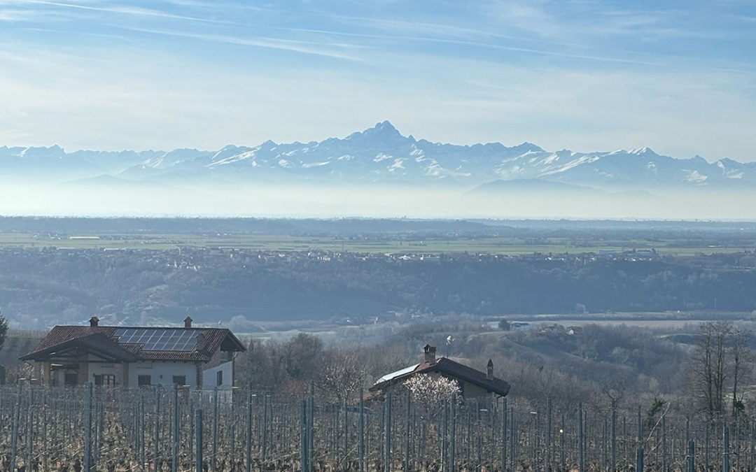 Lucy’s Culinary Tour of Piedmont