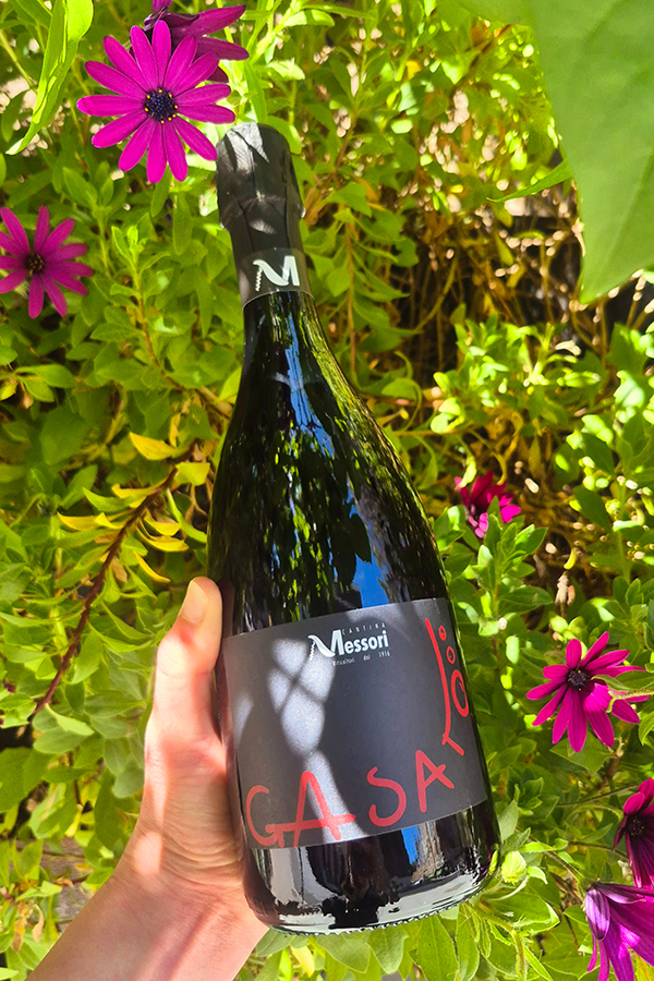 Cantina Messori Lambrusco