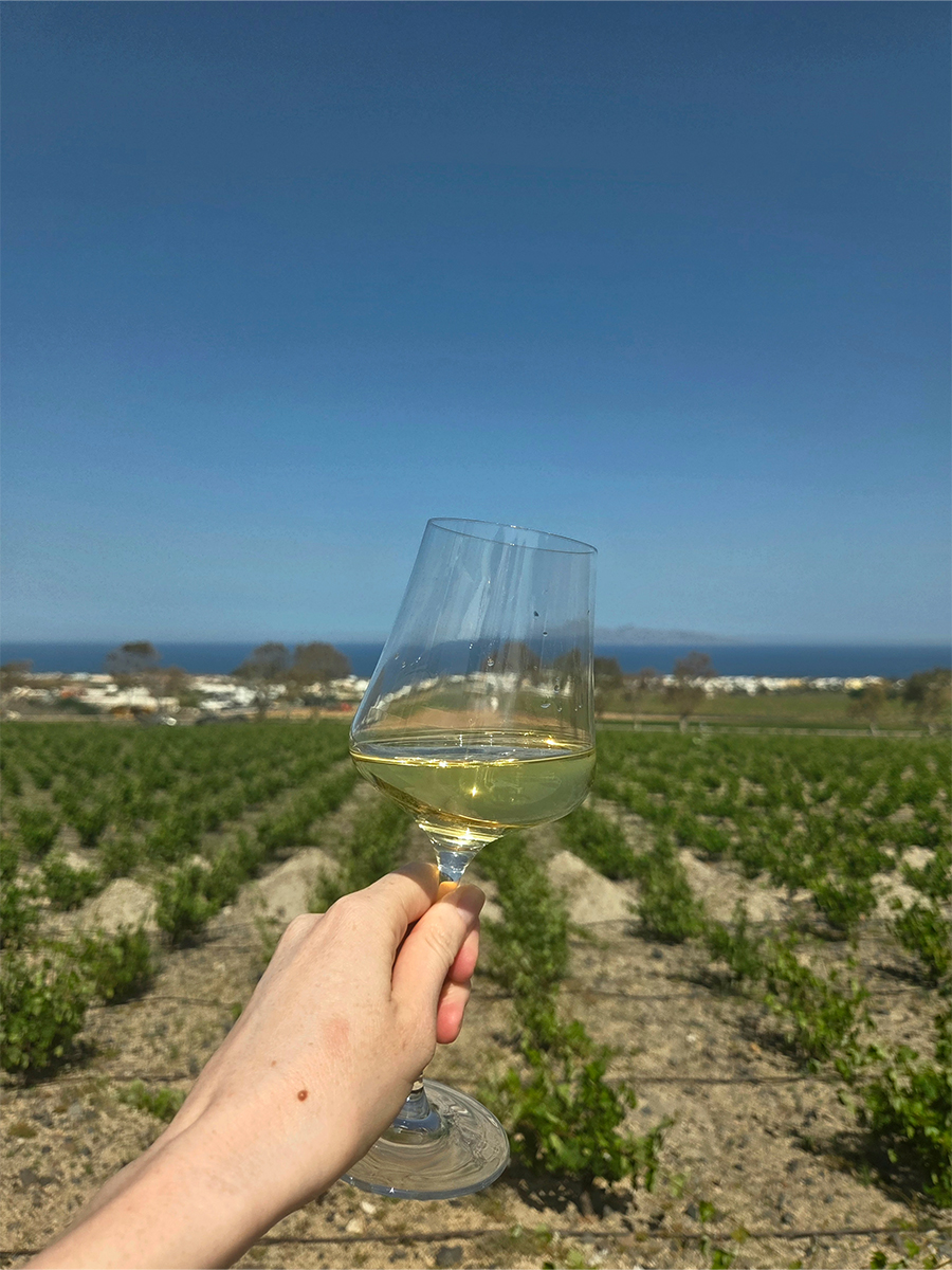 Santorini | Greek Wines