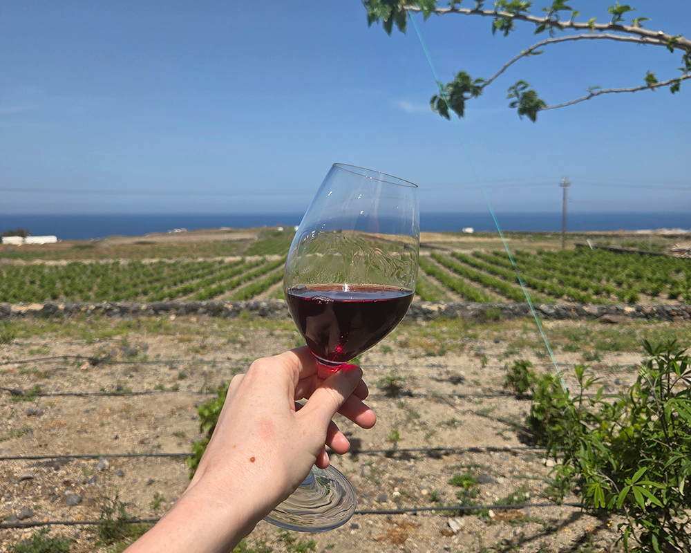 All Greek | Greek Wines