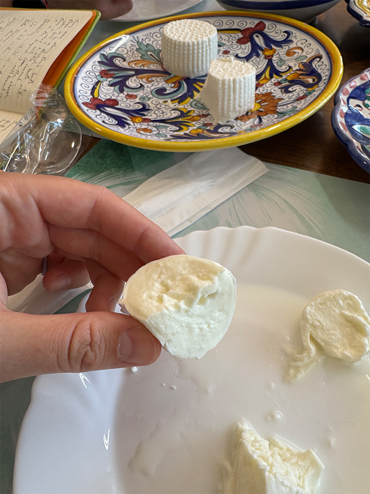 Mozzarella di Bufala Campana | Caseificio Mail