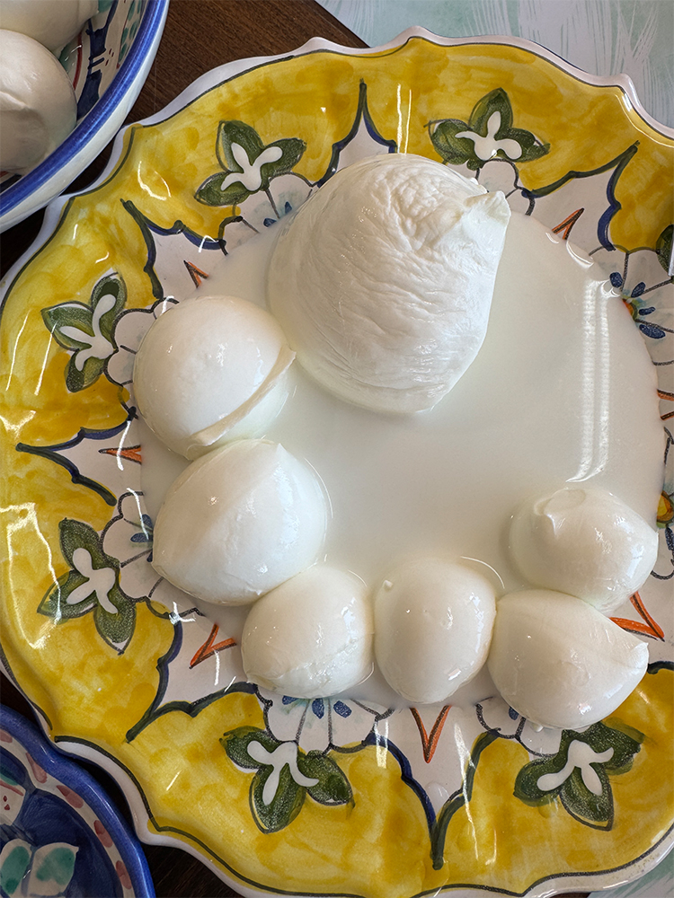 Mozzarella di Bufala Campana | Caseificio Mail