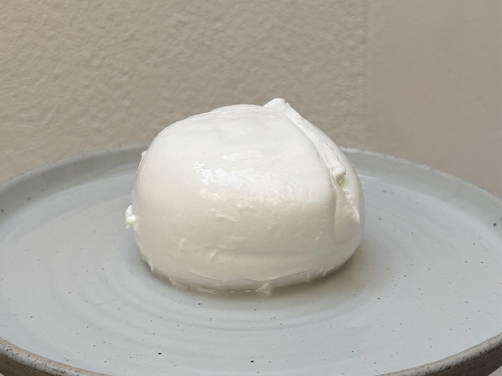 Mozzarella di Bufala Campana | Caseificio Mail