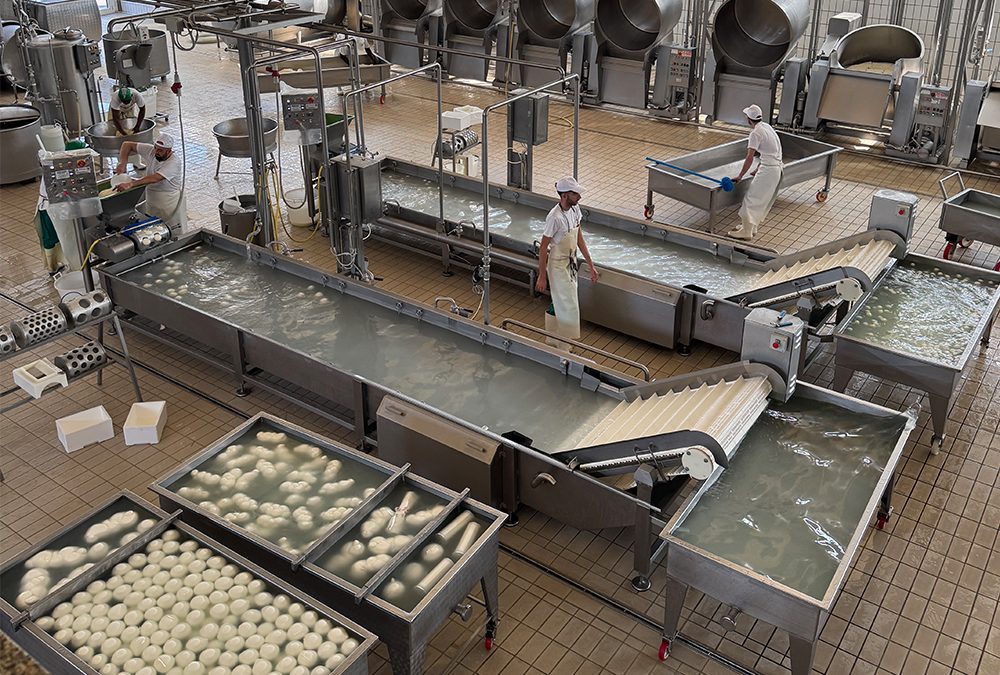 Mozzarella’s Time to Shine