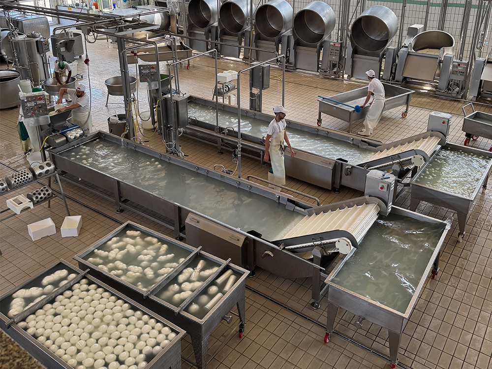Mozzarella di Bufala Campana | Caseificio Mail