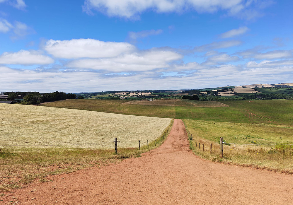 Quickes Cheese Farm Visit