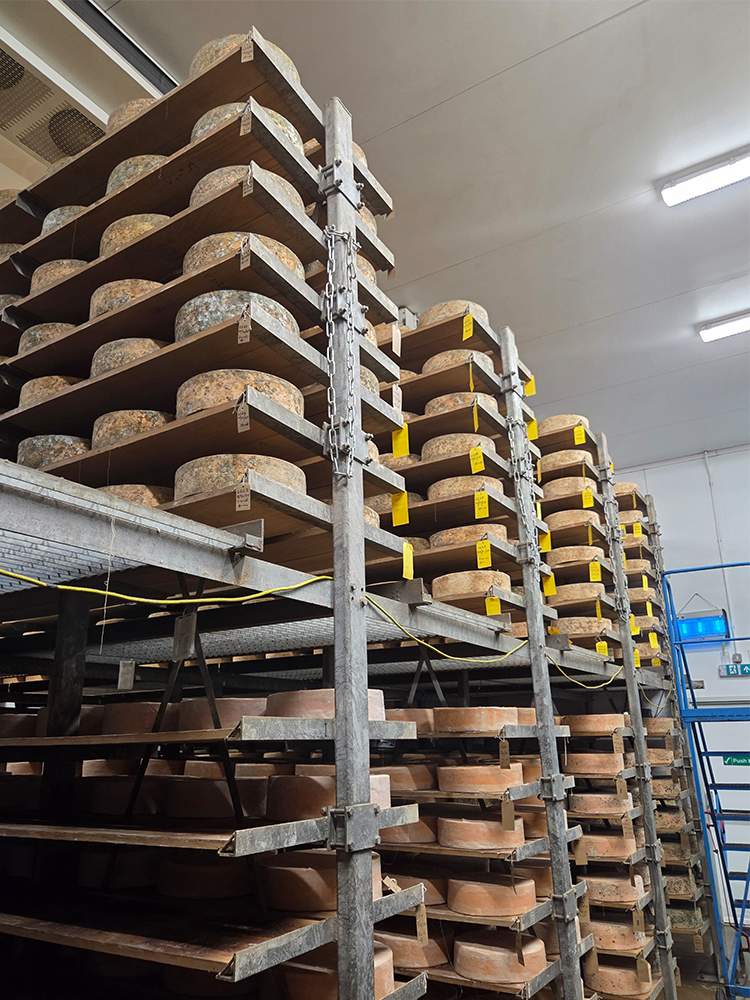 Sparkenhoe Red Leicester