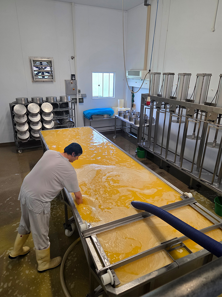 Sparkenhoe Red Leicester