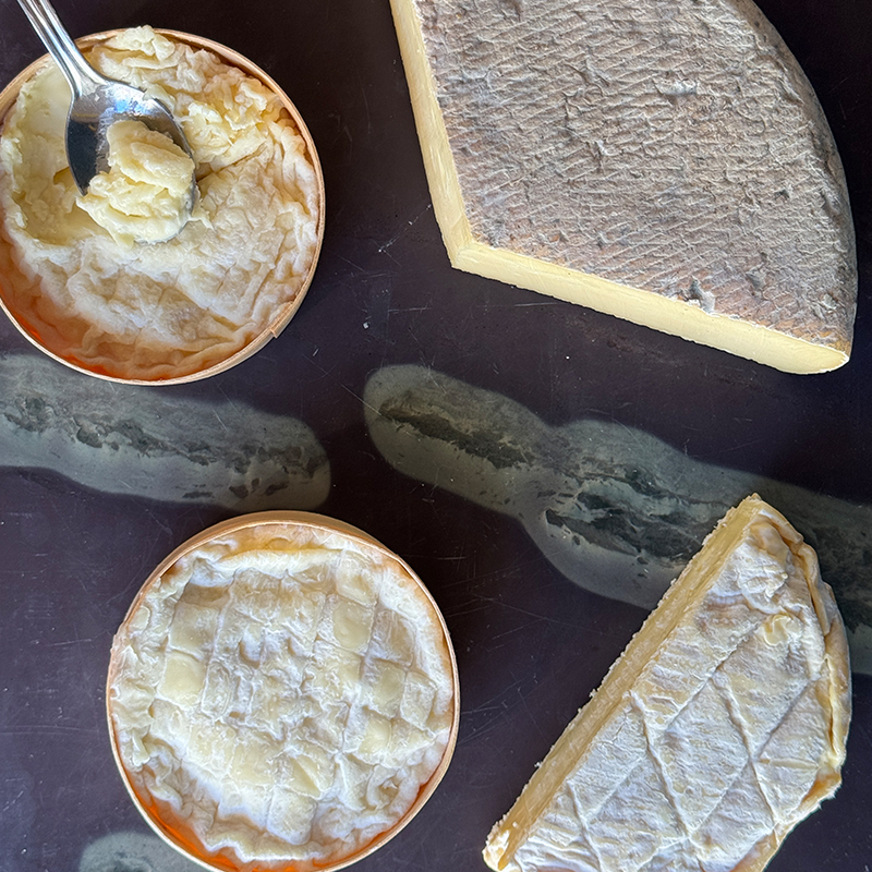 St Jude Cheese