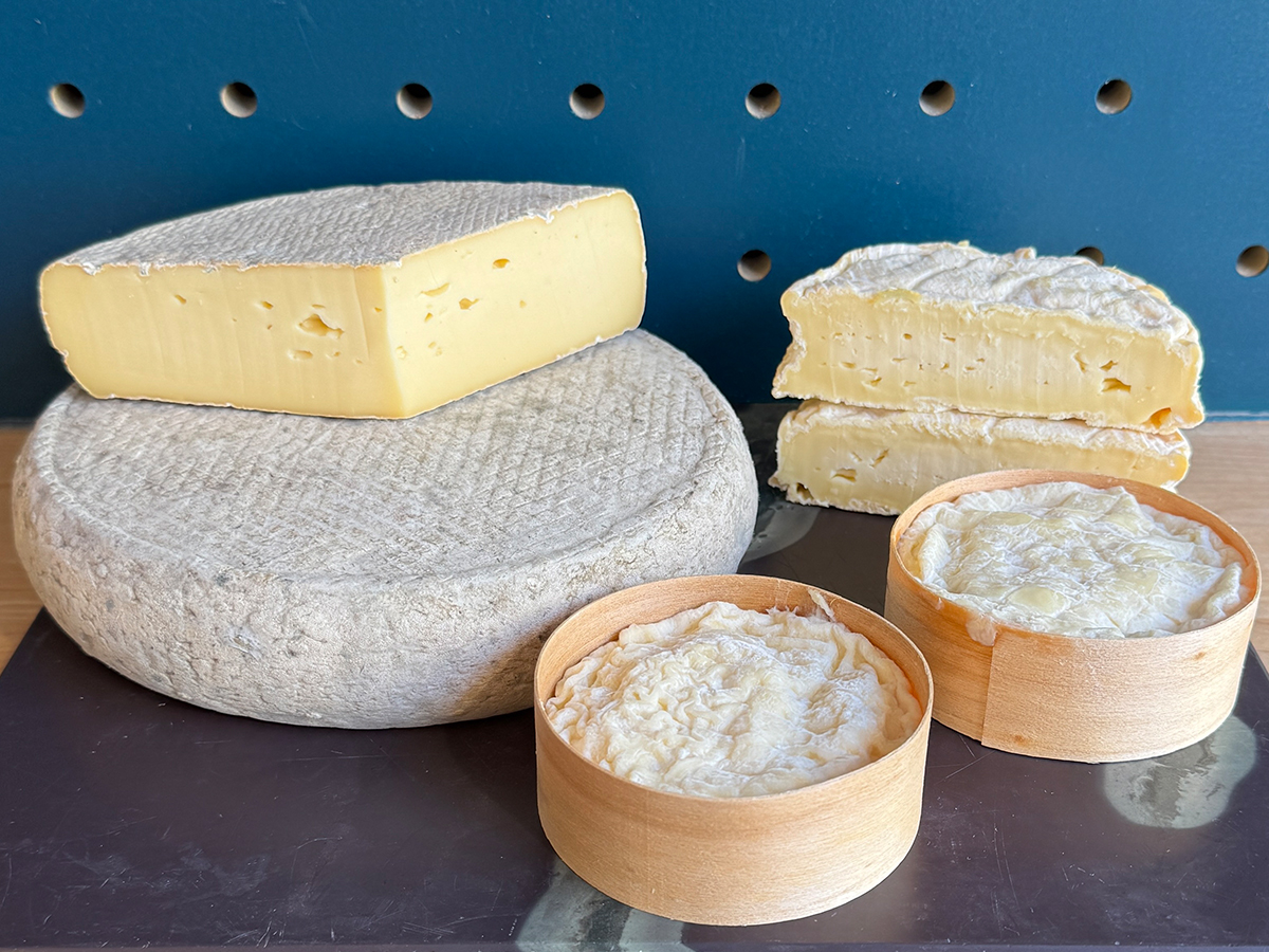 St Jude Cheese