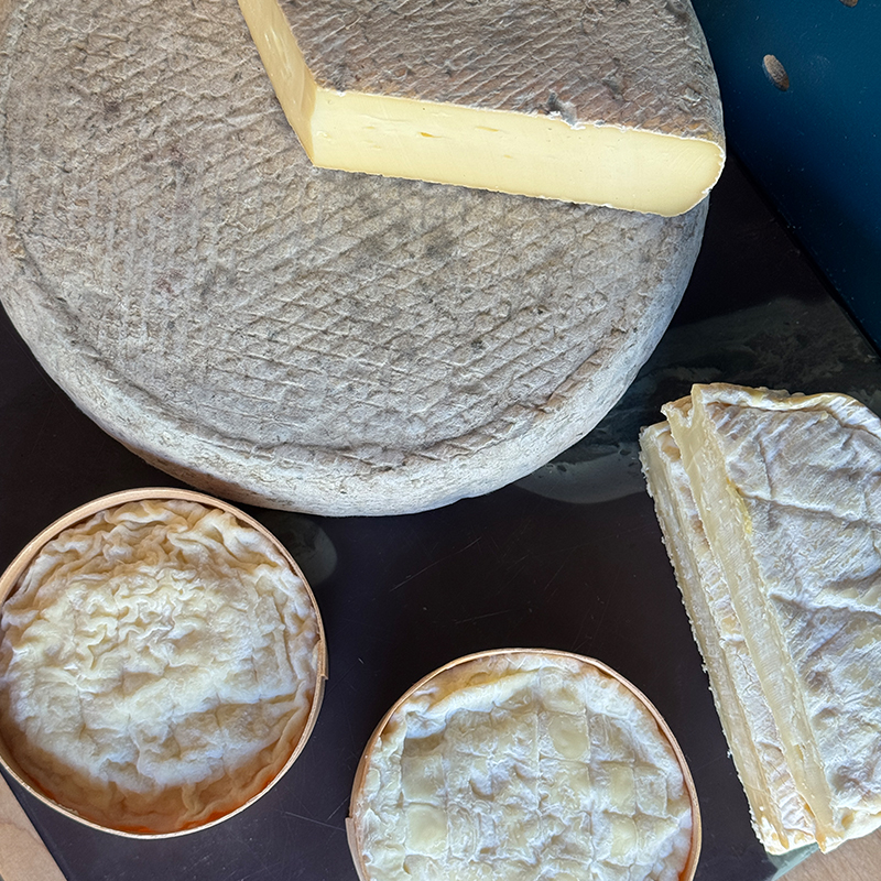 St Jude Cheese